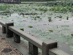 -西湖游船