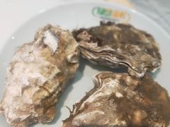 -绿岛港轩海鲜烤肉涮锅自助餐厅