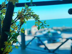 -蟹之国·精品蟹料理(极地店)