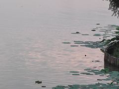 -焦岗湖旅游度假区