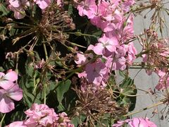 -方恒购物中心(望京小街店)