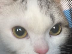-美迦爱-牙专科·兔科·骨科诊疗中心(北苑店)