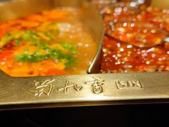-蜀九香火锅(彩虹店)