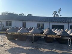 -苏州市吴中区光福窑上花果蜜饯厂