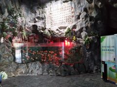 -苏州海洋馆