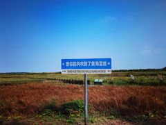 -盐城丹顶鹤湿地生态旅游区