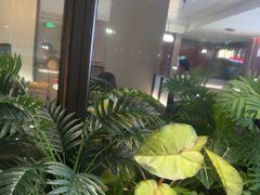 -海底捞火锅(高科广场店)