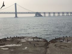 -星海广场