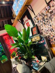 -MDZ STORE·TATTOO·耳饰