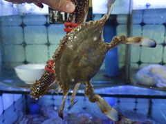 -日照大牌檔•小船海鲜(万平口店)
