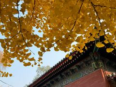 -承恩寺