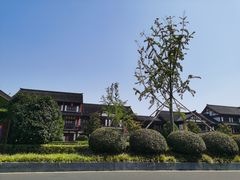 -东台西溪天仙缘景区