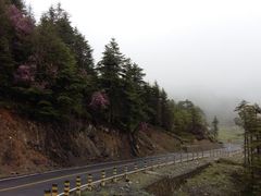 -硗碛藏寨·神木垒景区