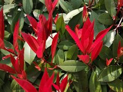 -武汉紫薇都市田园