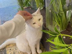 -知物癖(牛王庙店)