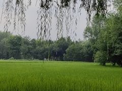 -北坞公园