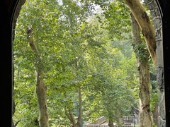 -莫干山风景区