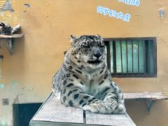 -青藏高原野生动物园