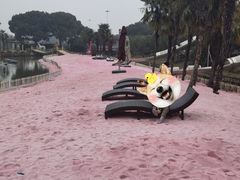 -苏州太湖西山岛开心农场