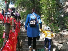 -少华山国家森林公园