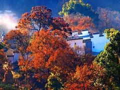 -塔川景区