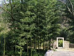 -黄公望隐居地