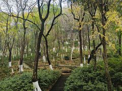 -重庆平顶山公园