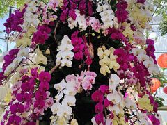 -北京植物园-展览温室