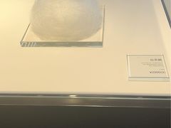 -BLACKSWAN黑天鹅(环球店)