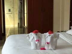 -三亚亚龙湾雅高铂尔曼别墅度假酒店