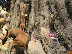 -陕西自然博物馆