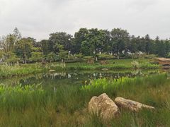 -映月湖公园