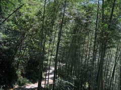 -千泷沟大瀑布旅游区
