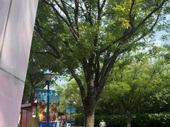 -沈阳方特欢乐世界