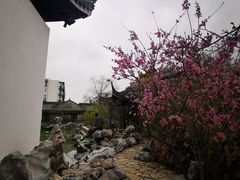 -芥子园