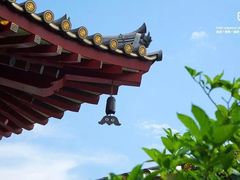 -新加坡佛牙寺龙华院