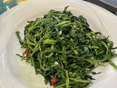 清香枸杞苗-国强手抓(北京西路店)