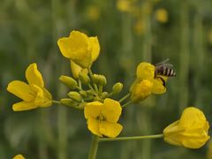 -中国天府农业博览园