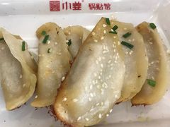 鲜肉锅贴-小姜锅贴(凤凰街店)