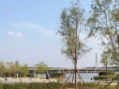 -永定河休闲森林公园