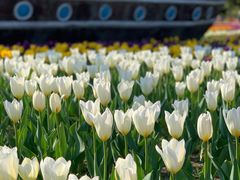 -长春公园(普阳街道)