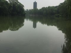 -农园餐厅(北京大学店)