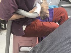 -安琪娜动物医院•健康管理•骨科•急重症诊疗中心