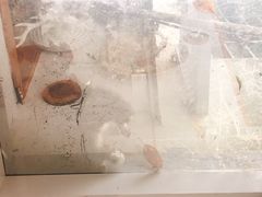 -拾壹cafe·工作室