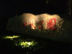 -宝安西湾红树林湿地公园