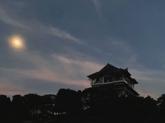 -桃源咖啡厅(武夷山大红袍山庄店)