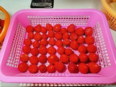 -小鱼草莓采摘园农家乐·小鱼餐厅