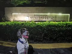 -上海崇明金茂凯悦酒店