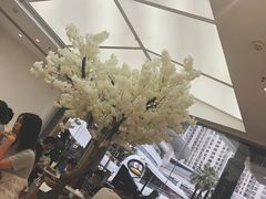 -艾薯夫妇Aysh(福田星河COCOPark店)