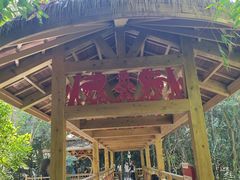 -霸王岭国家森林公园